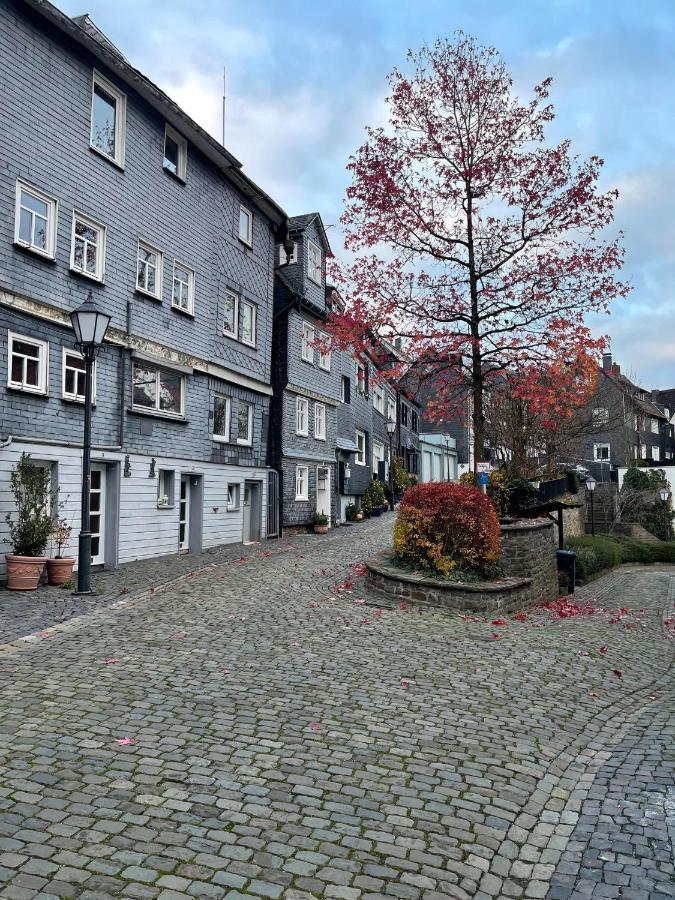 Wohnen In Malerischer Altstadt ジーゲン エクステリア 写真